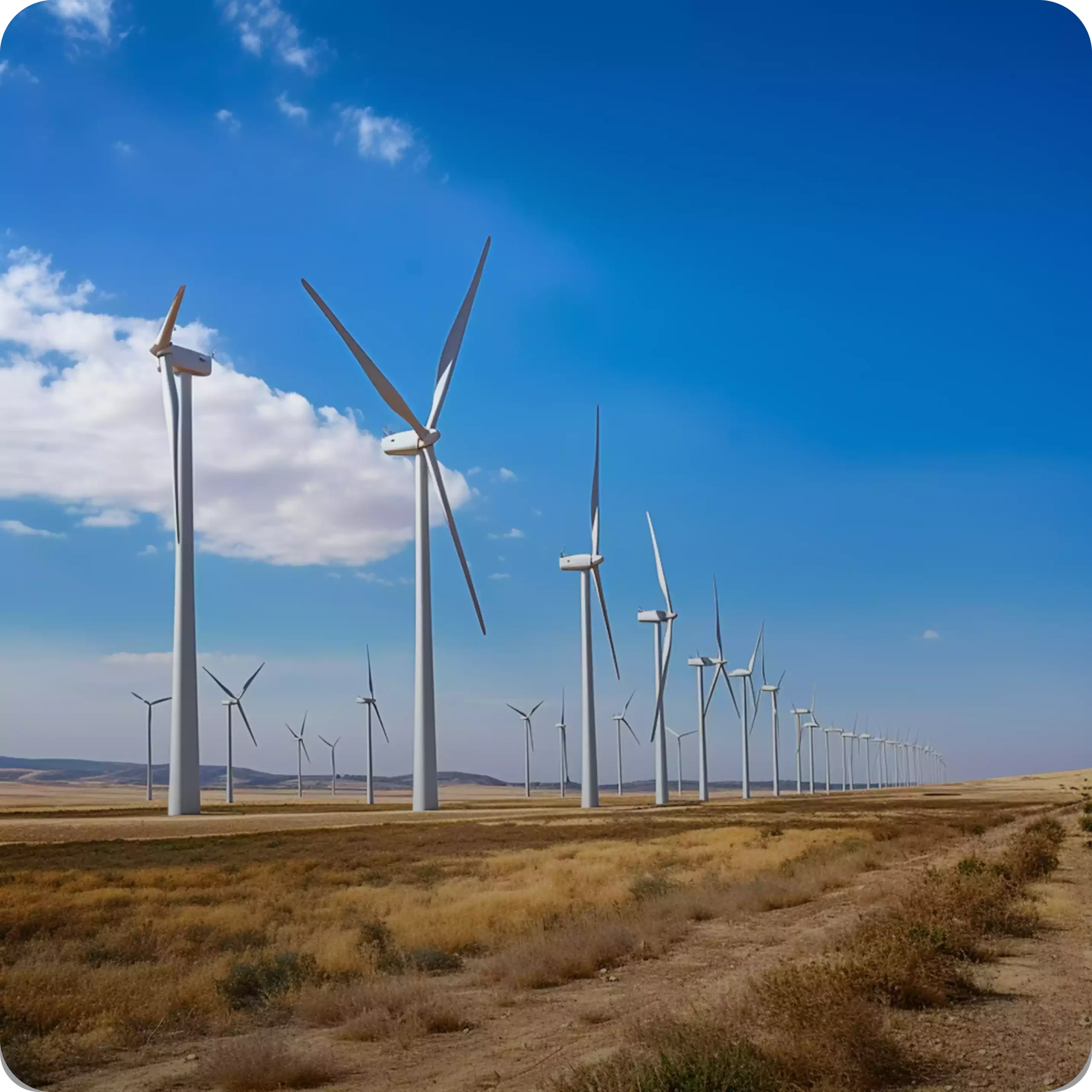Wind & Solar Energy Projects